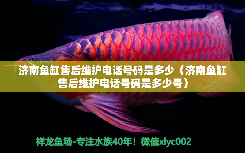 濟南魚缸售后維護電話號碼是多少（濟南魚缸售后維護電話號碼是多少號）