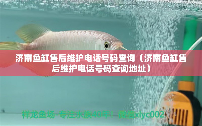 濟南魚缸售后維護電話號碼查詢（濟南魚缸售后維護電話號碼查詢地址）