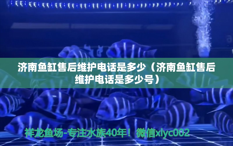 濟南魚缸售后維護電話是多少（濟南魚缸售后維護電話是多少號）