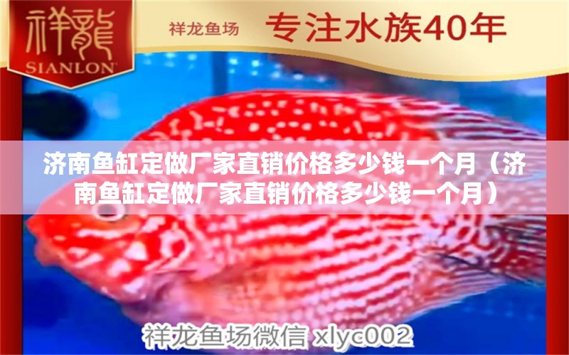 濟南魚缸定做廠家直銷價格多少錢一個月（濟南魚缸定做廠家直銷價格多少錢一個月） 紅老虎魚