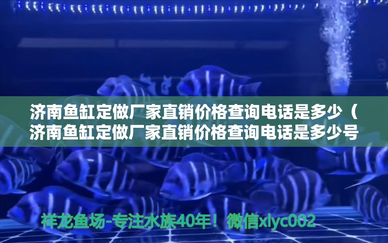 濟南魚缸定做廠家直銷價格查詢電話是多少（濟南魚缸定做廠家直銷價格查詢電話是多少號）