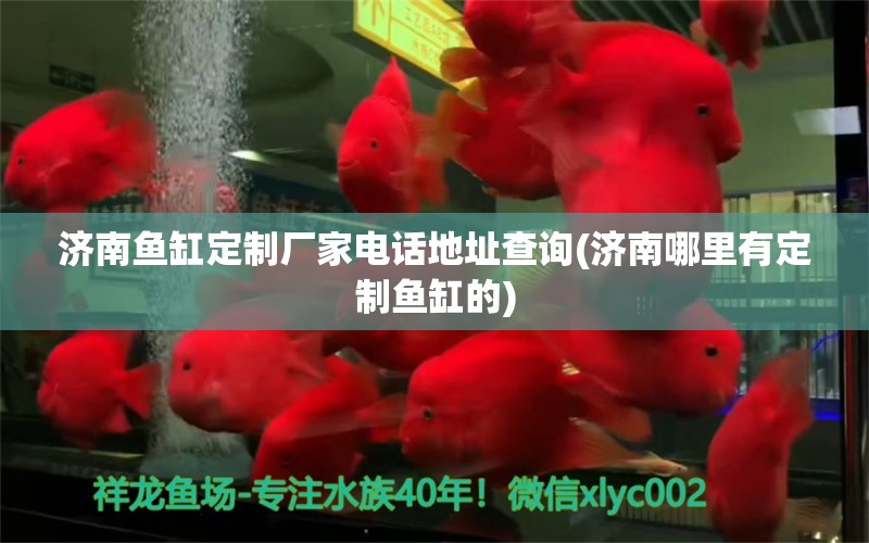 濟(jì)南魚缸定制廠家電話地址查詢(濟(jì)南哪里有定制魚缸的) 大嘴鯨魚