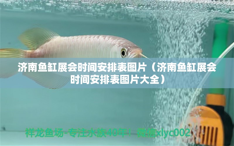 濟南魚缸展會時間安排表圖片（濟南魚缸展會時間安排表圖片大全） 養(yǎng)魚知識