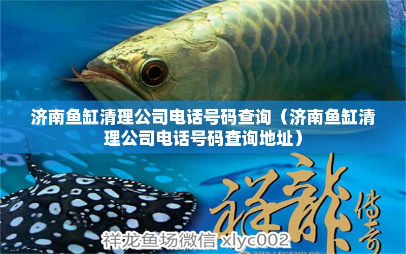 濟南魚缸清理公司電話號碼查詢（濟南魚缸清理公司電話號碼查詢地址）