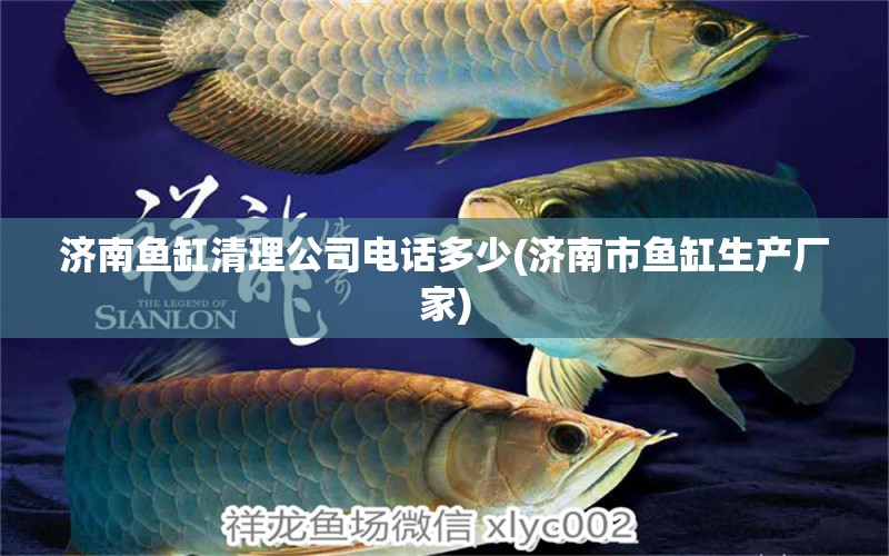 濟(jì)南魚(yú)缸清理公司電話(huà)多少(濟(jì)南市魚(yú)缸生產(chǎn)廠(chǎng)家) 水族燈（魚(yú)缸燈）