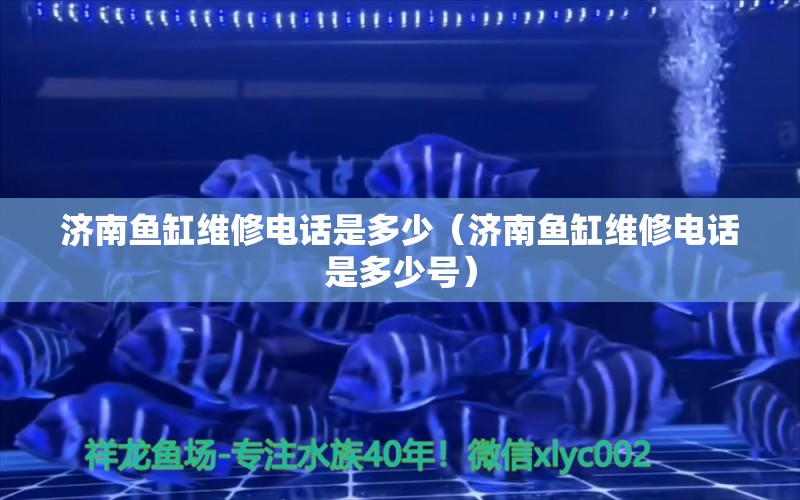 濟南魚缸維修電話是多少（濟南魚缸維修電話是多少號） 其他品牌魚缸