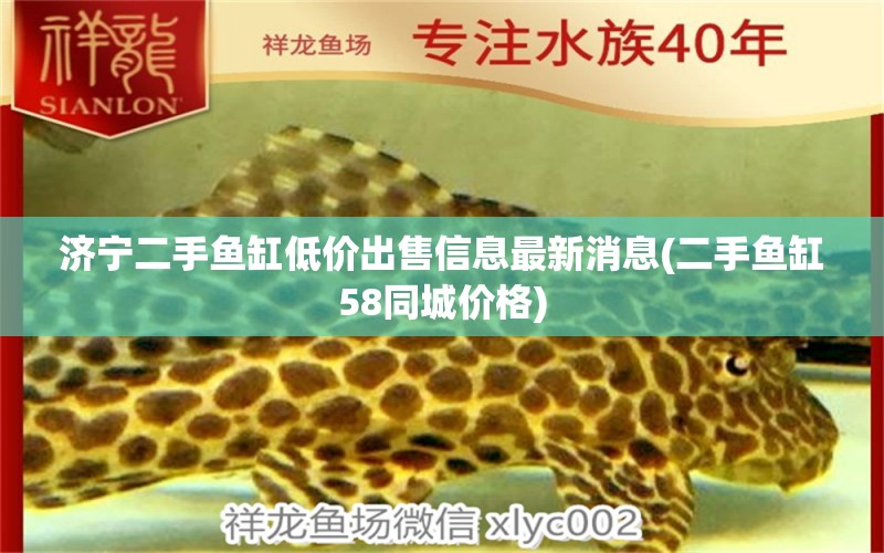 濟(jì)寧二手魚缸低價(jià)出售信息最新消息(二手魚缸58同城價(jià)格) 黃金眼鏡蛇雷龍魚