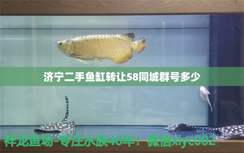 濟(jì)寧二手魚(yú)缸轉(zhuǎn)讓58同城群號(hào)多少