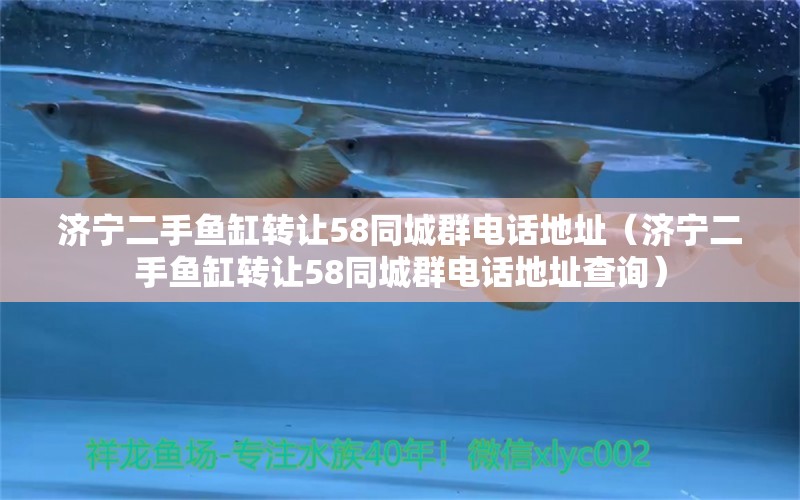 濟寧二手魚缸轉(zhuǎn)讓58同城群電話地址（濟寧二手魚缸轉(zhuǎn)讓58同城群電話地址查詢）