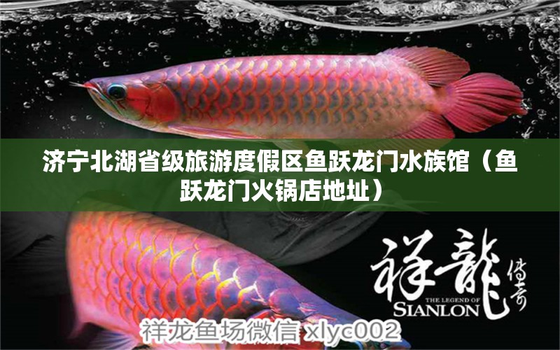 濟寧北湖省級旅游度假區(qū)魚躍龍門水族館（魚躍龍門火鍋店地址）