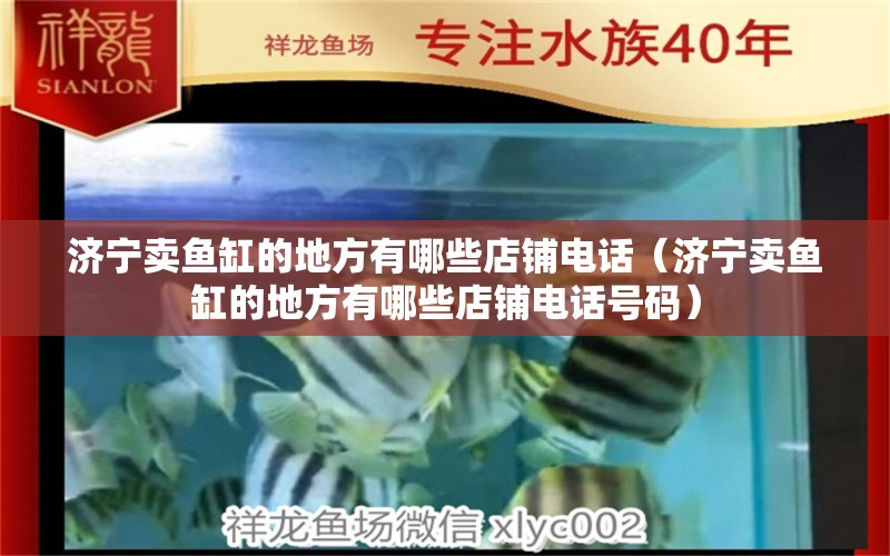 濟寧賣魚缸的地方有哪些店鋪電話（濟寧賣魚缸的地方有哪些店鋪電話號碼）