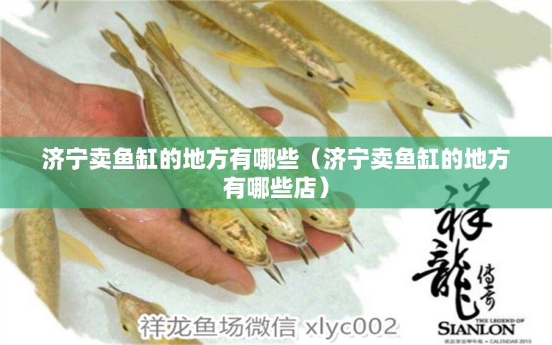 濟寧賣魚缸的地方有哪些（濟寧賣魚缸的地方有哪些店）