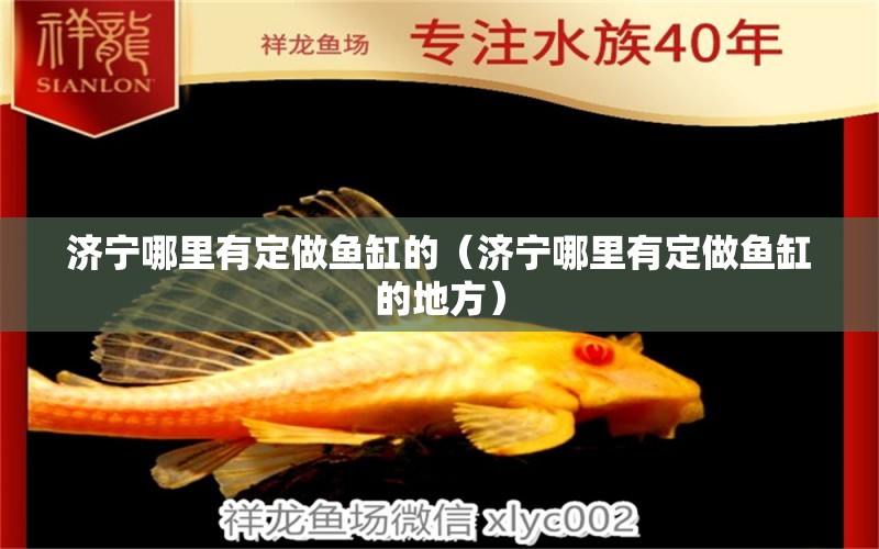 濟(jì)寧哪里有定做魚缸的（濟(jì)寧哪里有定做魚缸的地方）