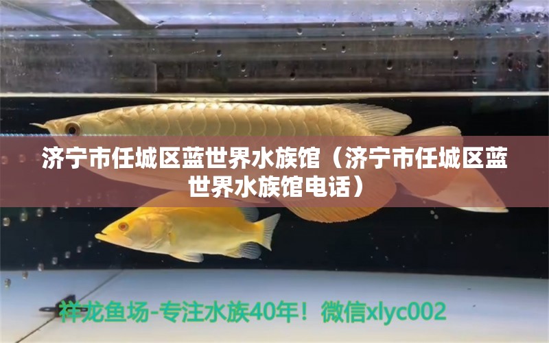 濟寧市任城區(qū)藍世界水族館（濟寧市任城區(qū)藍世界水族館電話） 全國水族館企業(yè)名錄