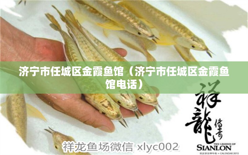 濟(jì)寧市任城區(qū)金霞魚館（濟(jì)寧市任城區(qū)金霞魚館電話）