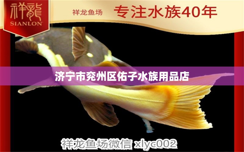 濟寧市兗州區(qū)佑子水族用品店 水族用品