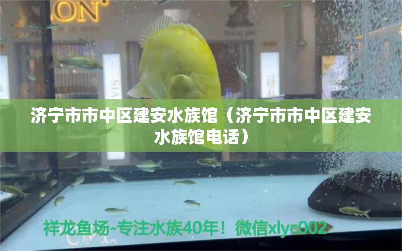 濟寧市市中區(qū)建安水族館（濟寧市市中區(qū)建安水族館電話） 全國水族館企業(yè)名錄