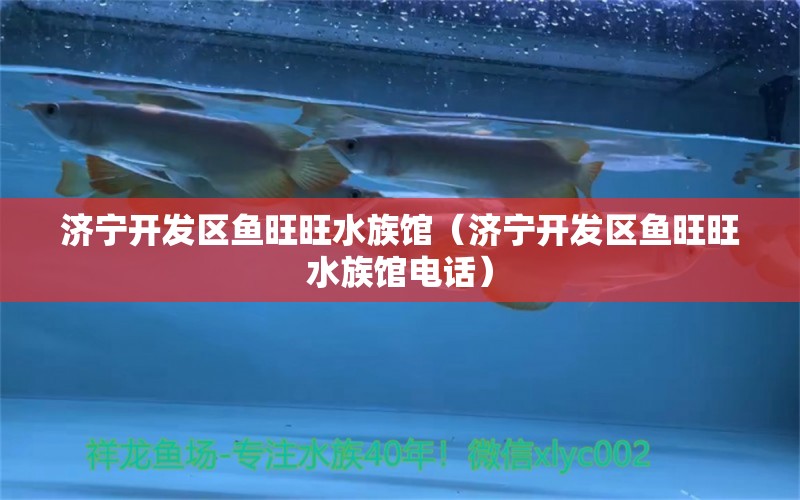 濟(jì)寧開(kāi)發(fā)區(qū)魚旺旺水族館（濟(jì)寧開(kāi)發(fā)區(qū)魚旺旺水族館電話） 全國(guó)水族館企業(yè)名錄