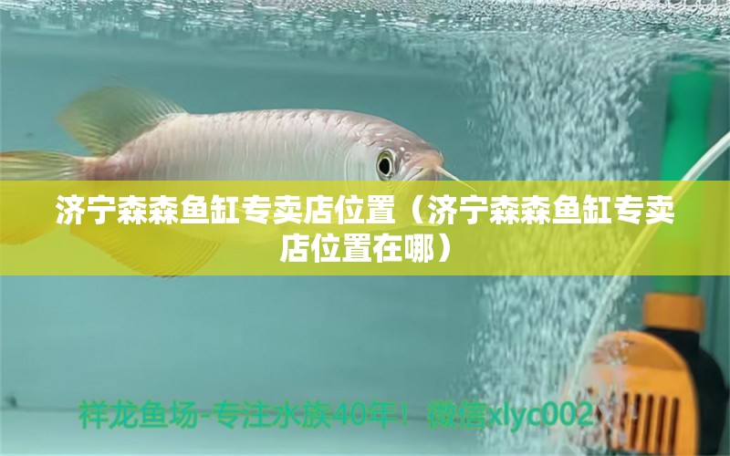 濟寧森森魚缸專賣店位置（濟寧森森魚缸專賣店位置在哪）