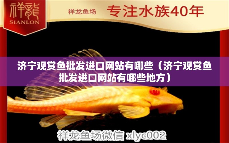 濟寧觀賞魚批發(fā)進(jìn)口網(wǎng)站有哪些（濟寧觀賞魚批發(fā)進(jìn)口網(wǎng)站有哪些地方）