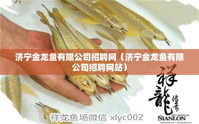 濟(jì)寧金龍魚有限公司招聘網(wǎng)（濟(jì)寧金龍魚有限公司招聘網(wǎng)站） 觀賞魚市場（混養(yǎng)魚）