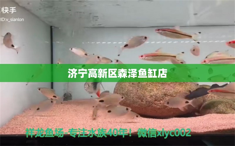 濟(jì)寧高新區(qū)森澤魚缸店 全國(guó)水族館企業(yè)名錄