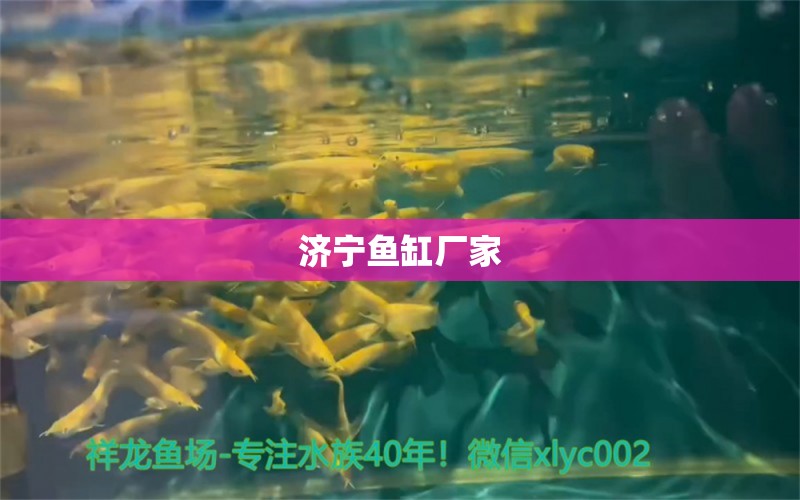 濟寧魚缸廠家