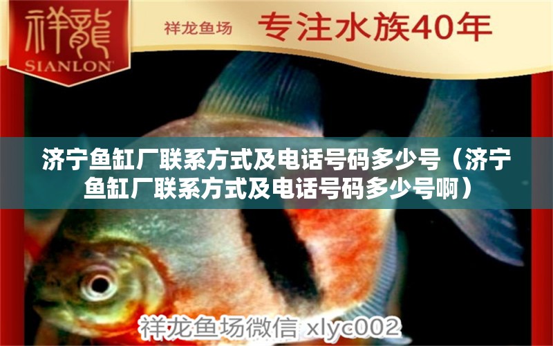 濟寧魚缸廠聯(lián)系方式及電話號碼多少號（濟寧魚缸廠聯(lián)系方式及電話號碼多少號?。? title=