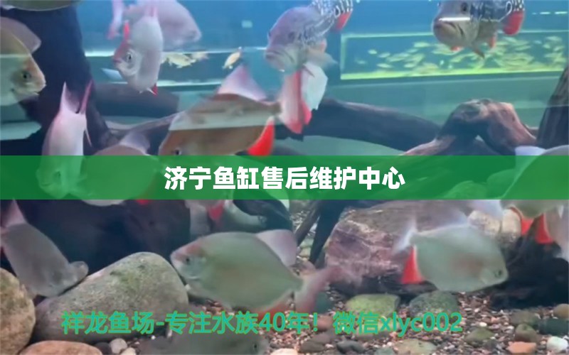 濟寧魚缸售后維護中心