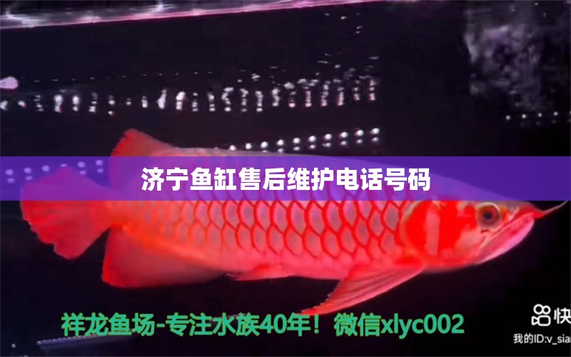 濟(jì)寧魚缸售后維護(hù)電話號碼 其他品牌魚缸