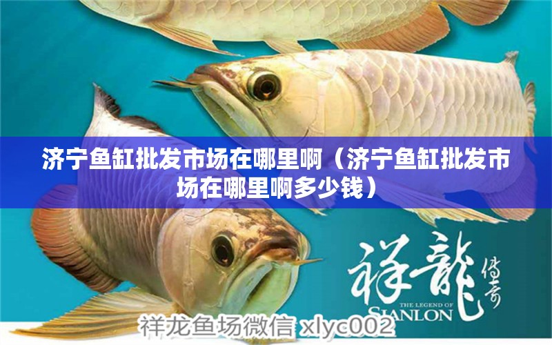 濟寧魚缸批發(fā)市場在哪里啊（濟寧魚缸批發(fā)市場在哪里啊多少錢）