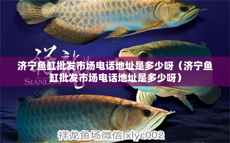 濟(jì)寧魚缸批發(fā)市場電話地址是多少呀（濟(jì)寧魚缸批發(fā)市場電話地址是多少呀）