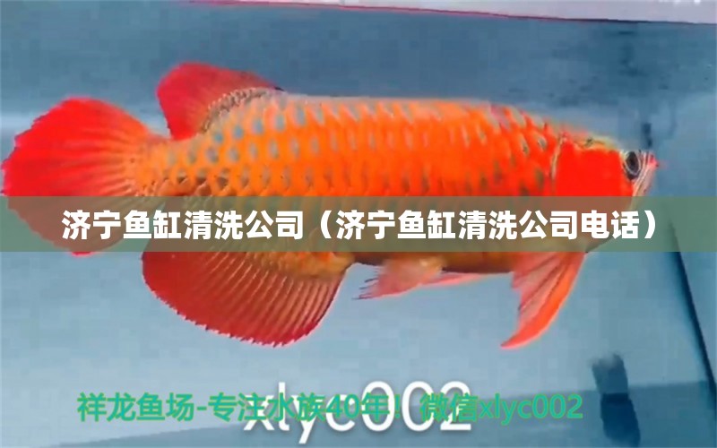 濟寧魚缸清洗公司（濟寧魚缸清洗公司電話）