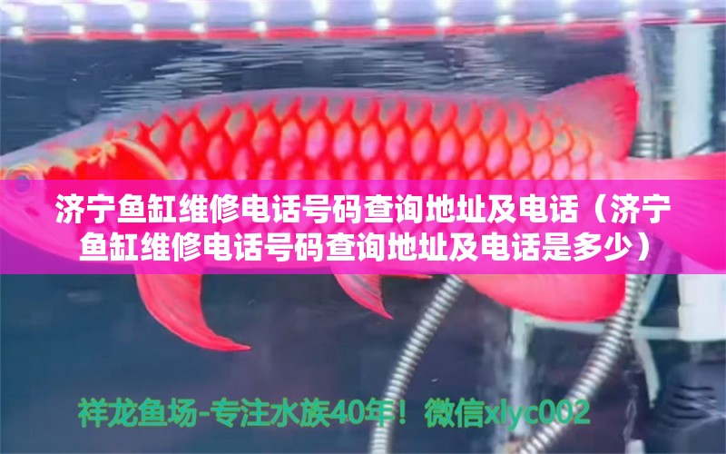 濟(jì)寧魚缸維修電話號(hào)碼查詢地址及電話（濟(jì)寧魚缸維修電話號(hào)碼查詢地址及電話是多少） 祥龍魚場