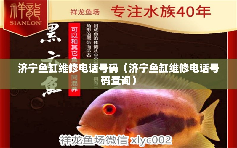 濟(jì)寧魚(yú)缸維修電話號(hào)碼（濟(jì)寧魚(yú)缸維修電話號(hào)碼查詢(xún)）