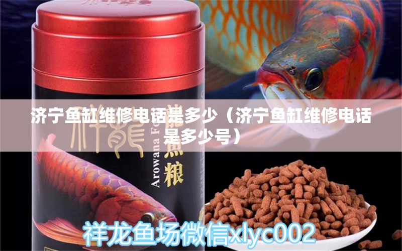 濟(jì)寧魚缸維修電話是多少（濟(jì)寧魚缸維修電話是多少號(hào)）