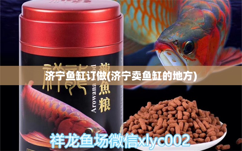 濟(jì)寧魚缸訂做(濟(jì)寧賣魚缸的地方)