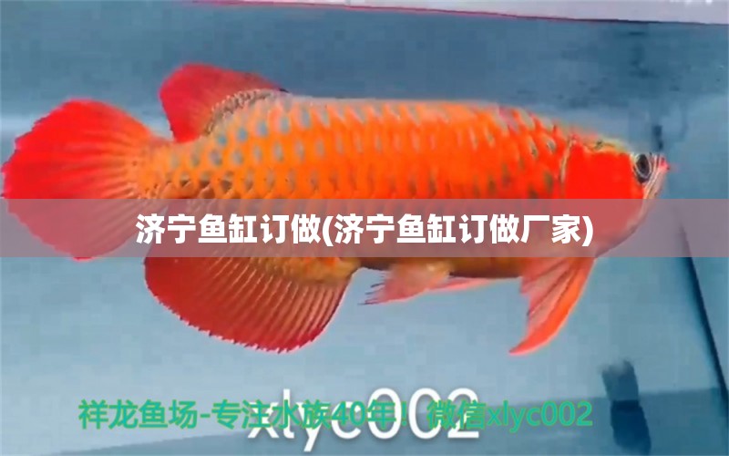 濟(jì)寧魚缸訂做(濟(jì)寧魚缸訂做廠家)