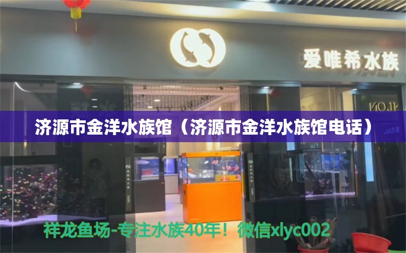 濟(jì)源市金洋水族館（濟(jì)源市金洋水族館電話）