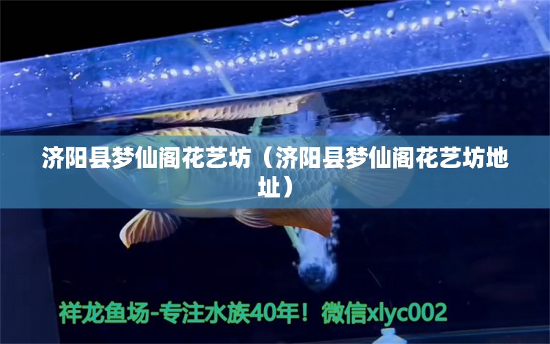 濟陽縣夢仙閣花藝坊（濟陽縣夢仙閣花藝坊地址） 全國水族館企業(yè)名錄