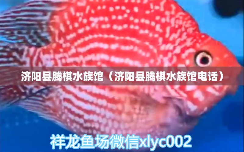 濟(jì)陽(yáng)縣騰棋水族館（濟(jì)陽(yáng)縣騰棋水族館電話）