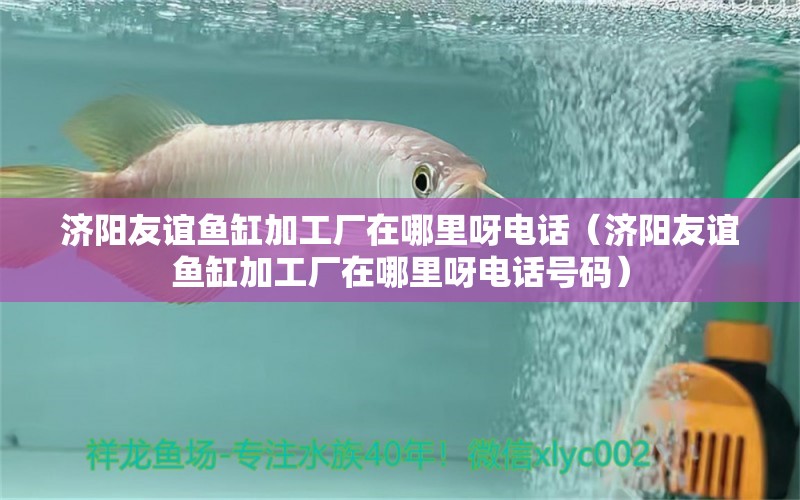 濟陽友誼魚缸加工廠在哪里呀電話（濟陽友誼魚缸加工廠在哪里呀電話號碼）