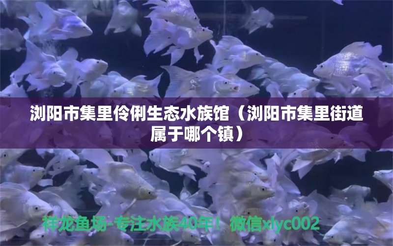 瀏陽市集里伶俐生態(tài)水族館（瀏陽市集里街道屬于哪個鎮(zhèn)）