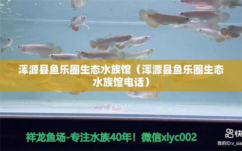 渾源縣魚樂圈生態(tài)水族館（渾源縣魚樂圈生態(tài)水族館電話）