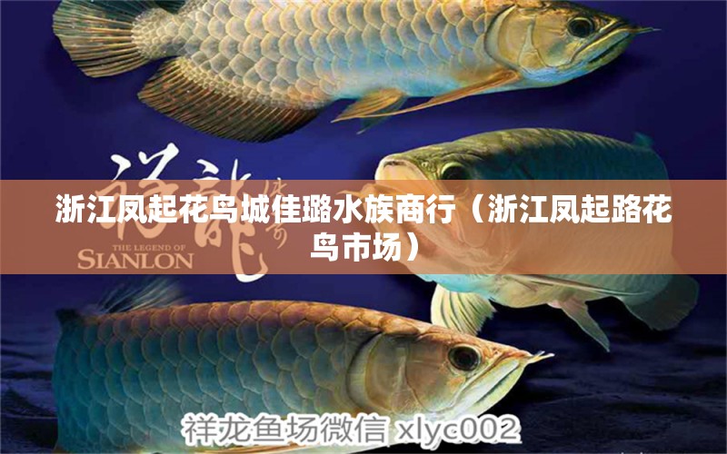 浙江鳳起花鳥城佳璐水族商行（浙江鳳起路花鳥市場(chǎng)） 全國水族館企業(yè)名錄