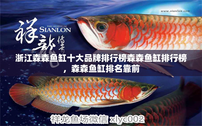 浙江森森魚缸十大品牌排行榜森森魚缸排行榜，森森魚缸排名靠前 觀賞魚