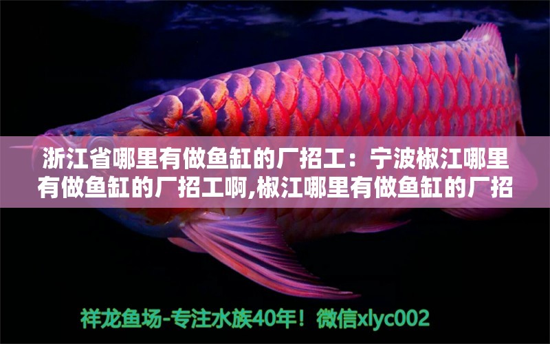 浙江省哪里有做魚缸的廠招工：寧波椒江哪里有做魚缸的廠招工啊,椒江哪里有做魚缸的廠招工啊 魚缸百科 第2張