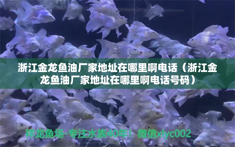 浙江金龍魚油廠家地址在哪里啊電話（浙江金龍魚油廠家地址在哪里啊電話號碼）