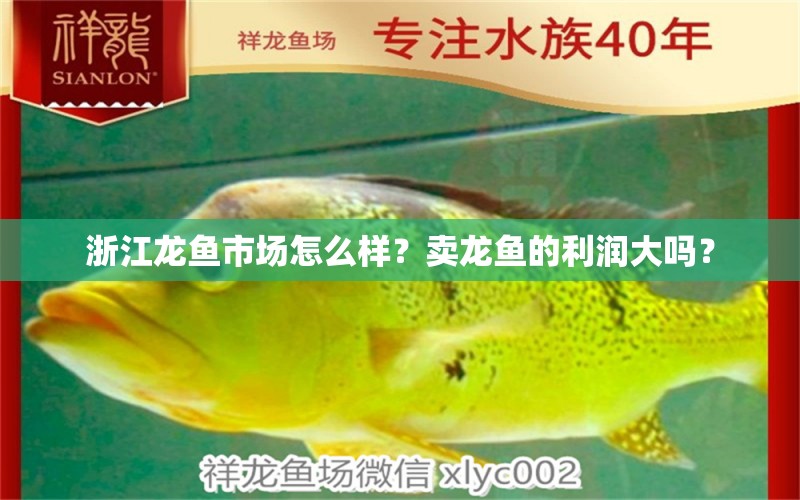 浙江龍魚市場怎么樣？賣龍魚的利潤大嗎？ 紅頭利魚