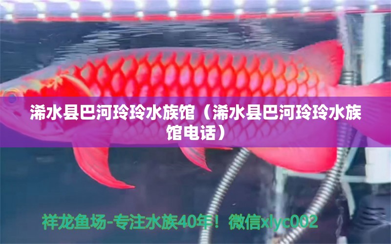 浠水縣巴河玲玲水族館（浠水縣巴河玲玲水族館電話） 全國水族館企業(yè)名錄